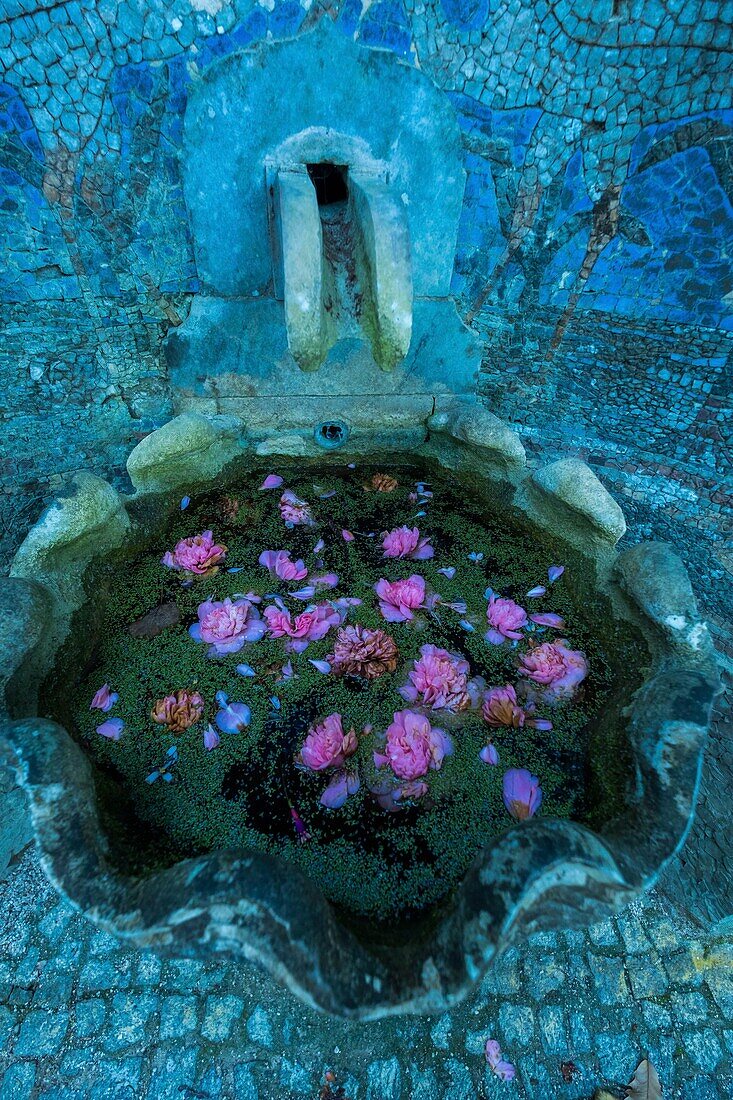 Portugal, Sintra, Quinta da Regaleira, Romantischer Garten, schwimmende Blumensträuße