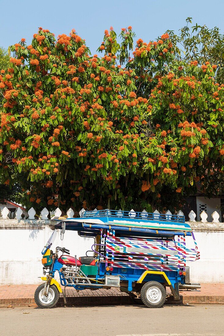 Laos, Luang Prabang province, Luang Prabang, tuk tuk