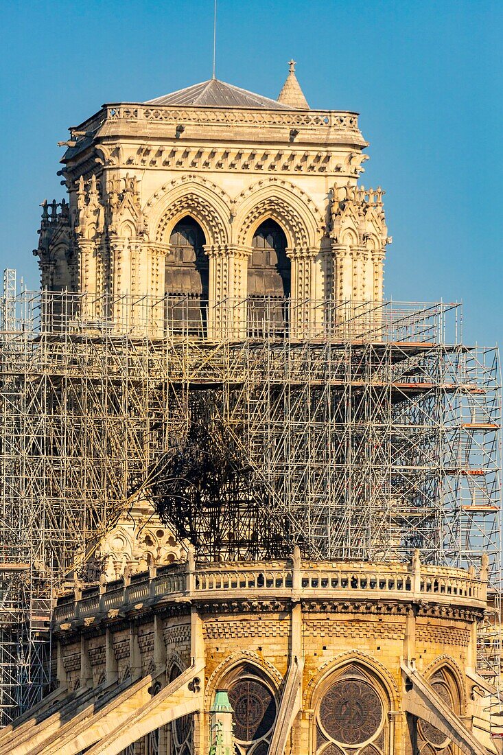 Frankreich, Paris, UNESCO-Welterbe, Ile de la Cite, Kathedrale Notre Dame, Baugerüst