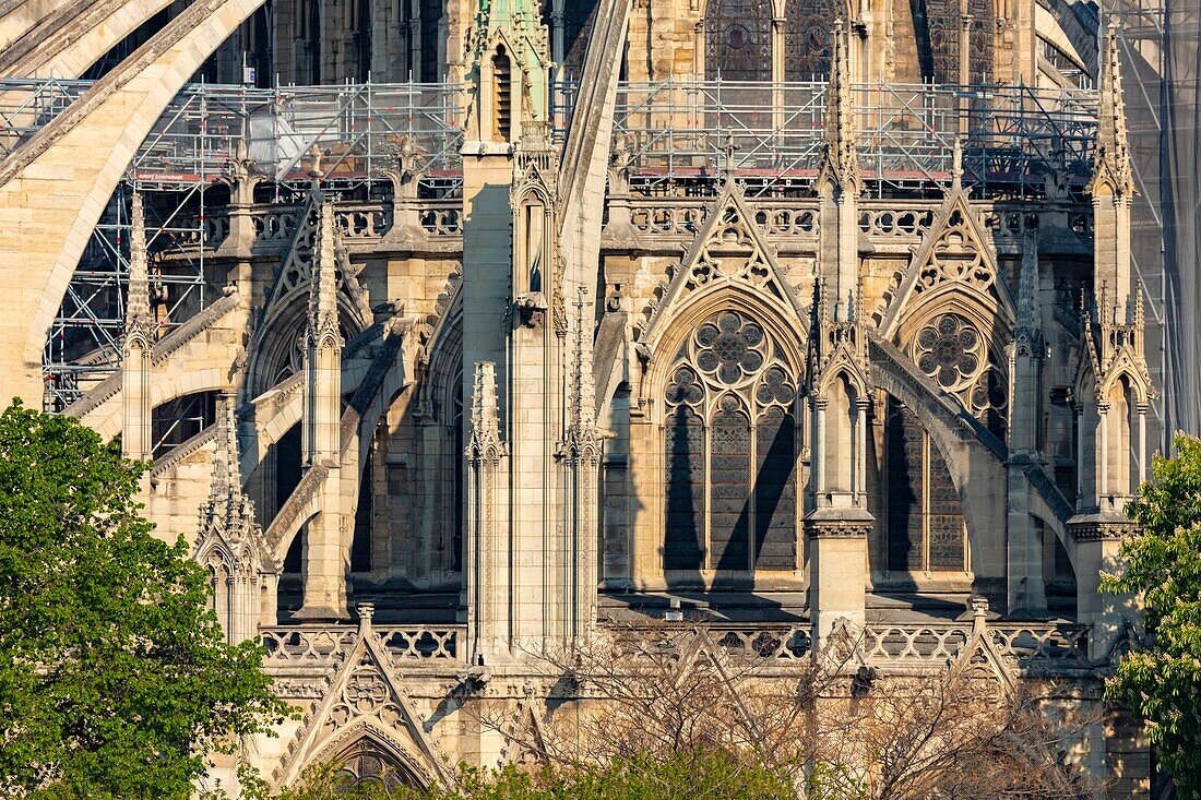 Frankreich, Paris, UNESCO-Welterbe, Ile de la Cite, Kathedrale Notre Dame, Baugerüst