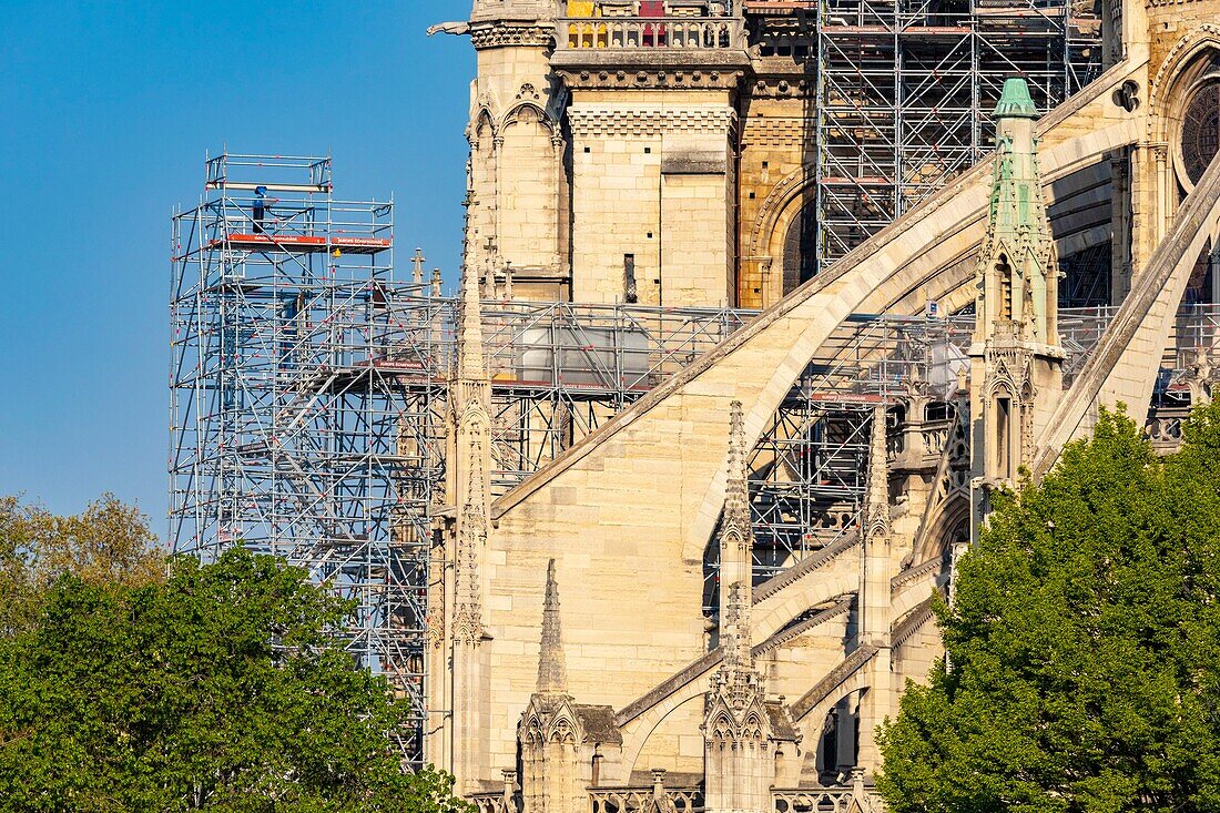 Frankreich, Paris, UNESCO-Welterbe, Ile de la Cite, Kathedrale Notre Dame, Baugerüst