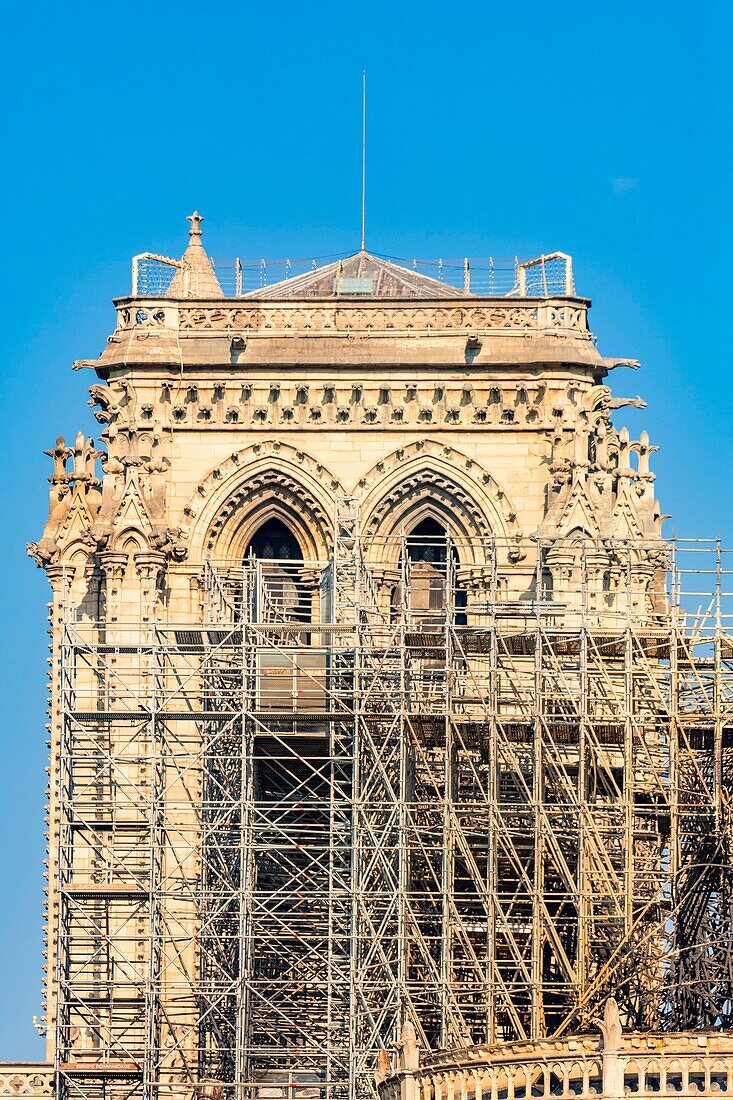 Frankreich, Paris, UNESCO-Welterbe, Ile de la Cite, Kathedrale Notre Dame, Baugerüst