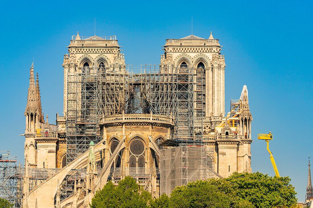 Frankreich, Paris, UNESCO-Welterbe, Ile de la Cite, Kathedrale Notre Dame, Baugerüst, Schutz nach dem Brand