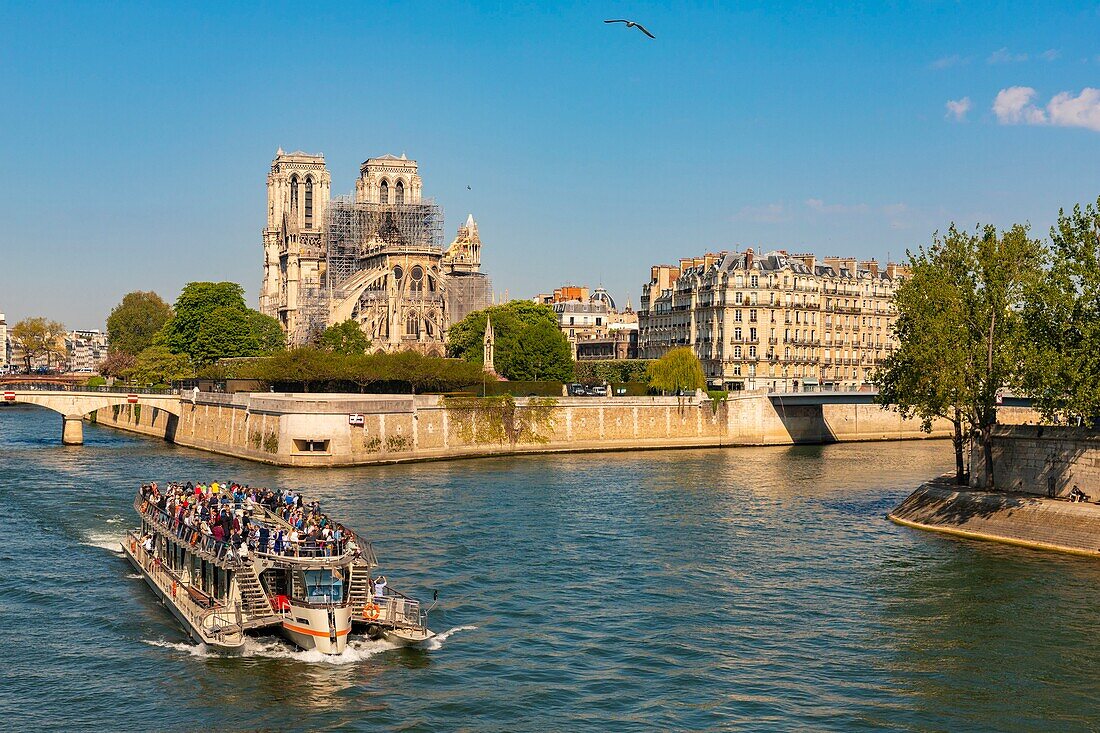 Frankreich, Paris, Weltkulturerbe der UNESCO, Ile de la Cite, Kathedrale Notre Dame und ein Flugboot