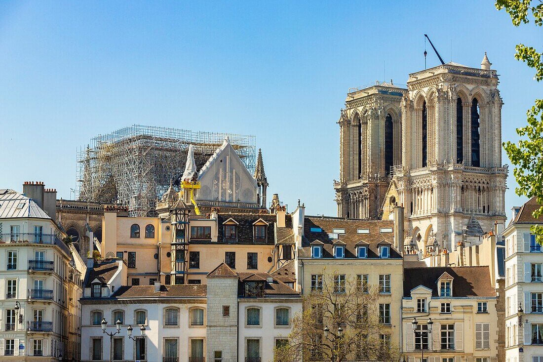 Frankreich, Paris, Welterbe der UNESCO, Ile de la Cite, Kathedrale Notre-Dame