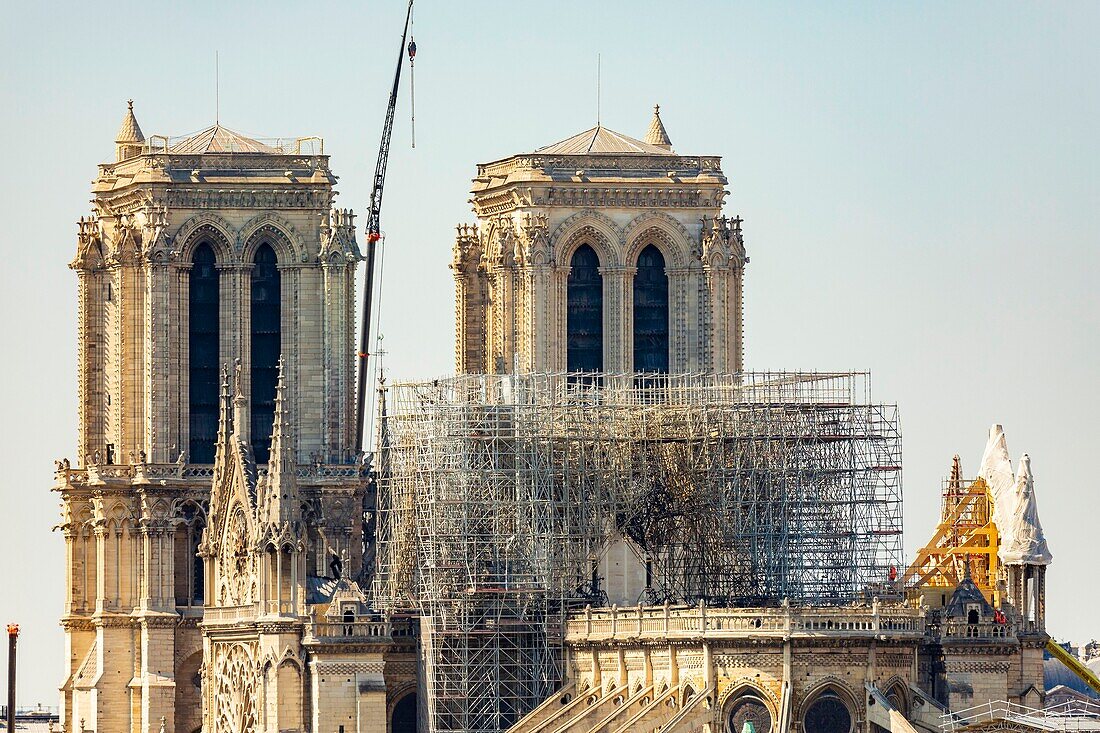 Frankreich, Paris, UNESCO-Welterbe, Ile de la Cite, Kathedrale Notre Dame, Baugerüst