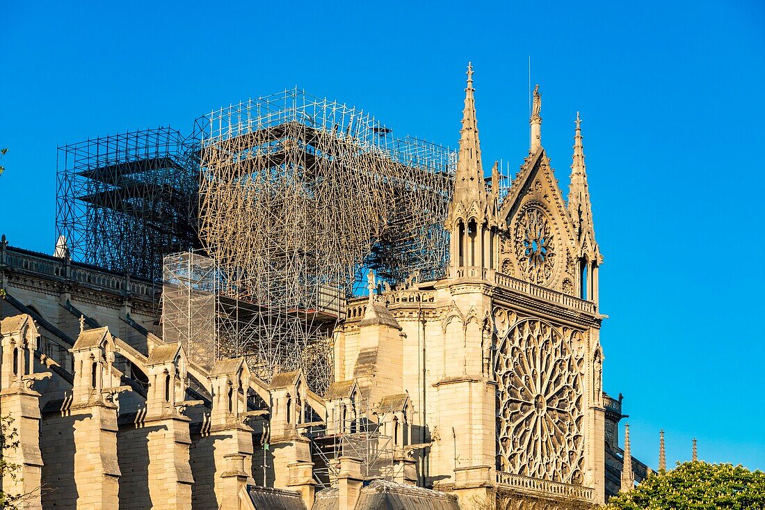 Frankreich, Paris, UNESCO-Welterbe, Ile de la Cite, Kathedrale Notre Dame, Baugerüst