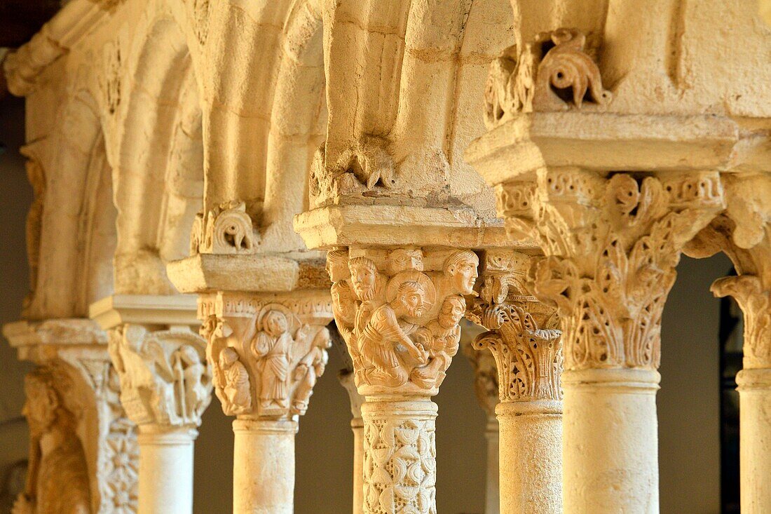 France, Bouches du Rhone, Aix en Provence, Saint Sauveur cathedral, Romanesque cloister of the end of the 12th century