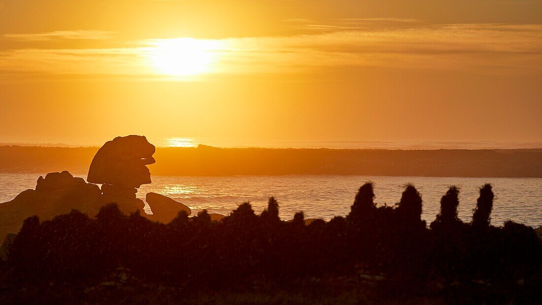 France, Finistere, Iroise Sea, Iles du Ponant, Parc Naturel Regional d'Armorique (Armorica Regional Natural Park), Ile de Sein, labelled Les Plus Beaux de France (The Most Beautiful Village of France), rock le Sphinx at sunset