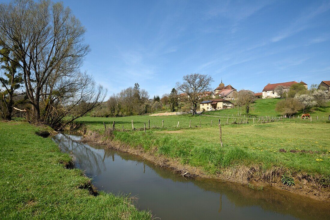 France, Haute Saone, Montigny les Cherlieu, the village, Assumption chuerch dated 1884