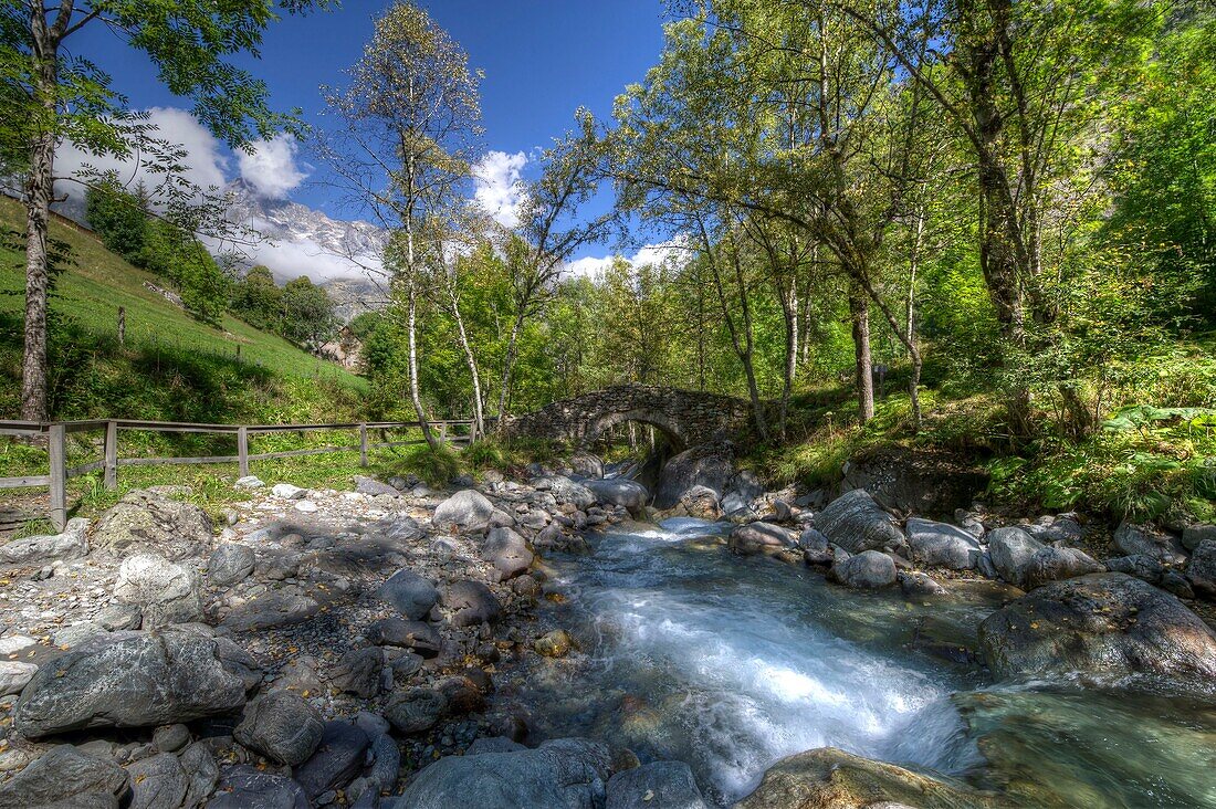 France, Hautes Alpes, massif of Oisans, National Park, La Chapelle en Valgaudemar, the Oules bridge in the hamlet of Les Portes and the Buchardet torrent