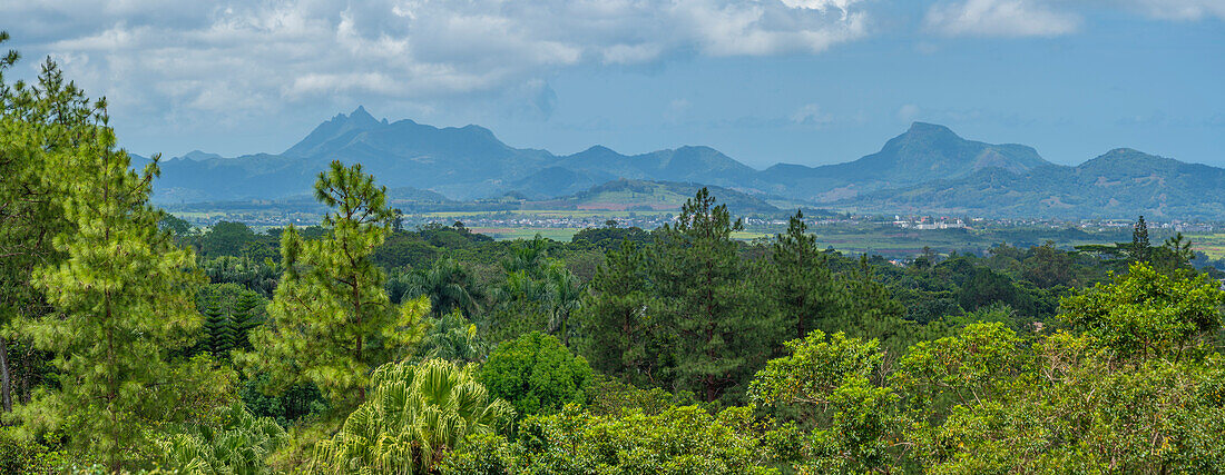 Blick auf die Landschaft in der Nähe des Bois Cheri Tea Estate, Savanne District, Mauritius, Indischer Ozean, Afrika