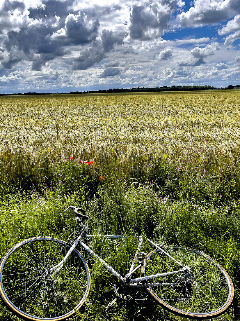 Bicycle laid by a field under a cloudy sky in Eure, Normandy, France, Europe