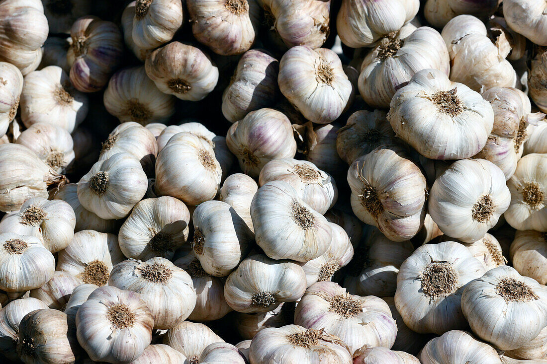 Frischer Knoblauch zum Verkauf auf dem Markt, Saint Gervais, Haute-Savoie, Frankreich, Europa