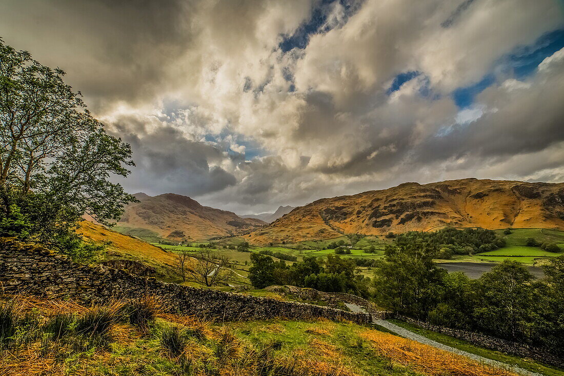 View towards the distant Langdale Pikes and Little Langdale Tarn, from the Little Langdale Valley, Lake District National Park, UNESCO World Heritage Site, Cumbria, England, United Kingdom, Europe