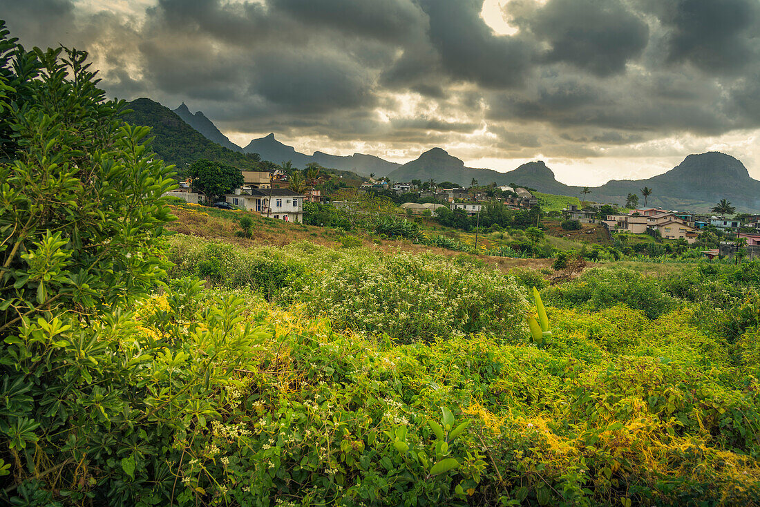 Blick auf Pieter Both und Long Mountain, Nouvelle Decouverte, Mauritius, Indischer Ozean, Afrika