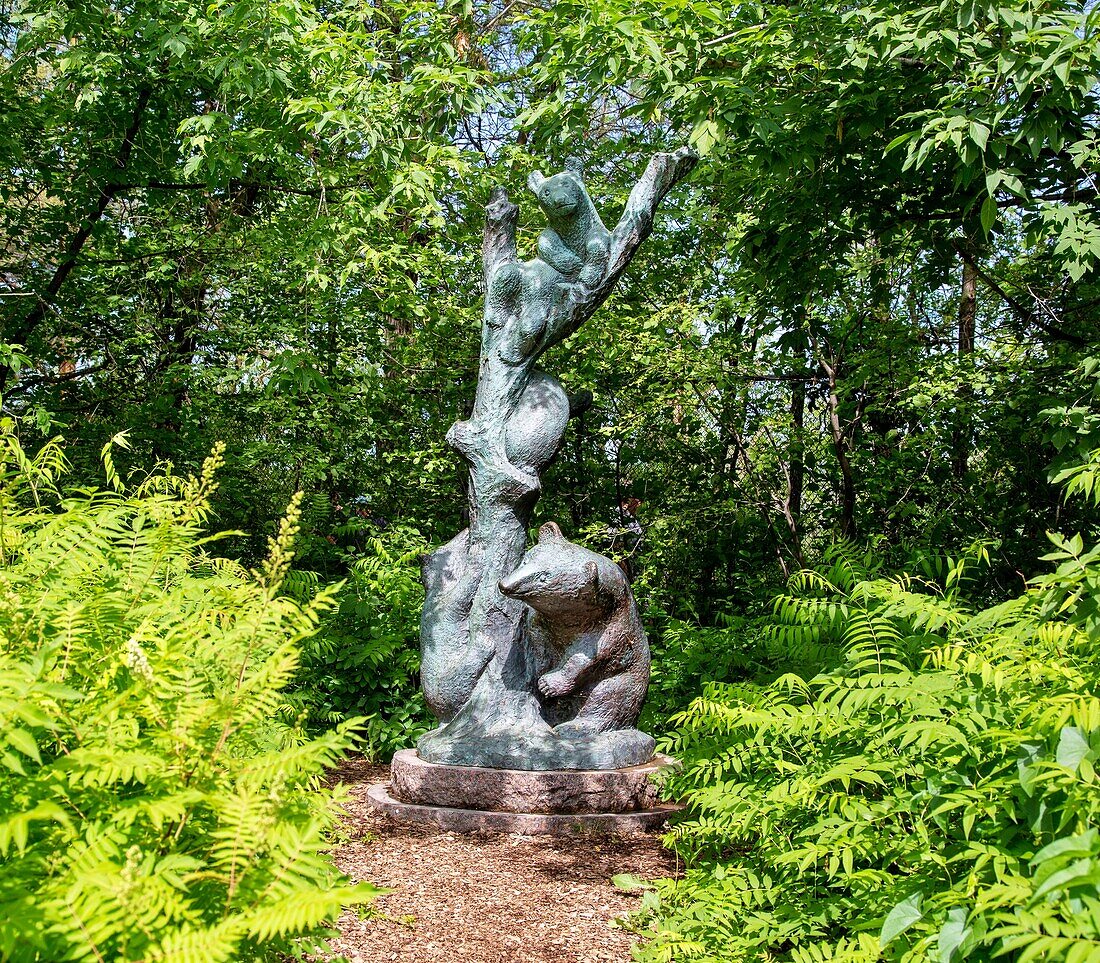 Leo Mol bear sculpture in the Leo Mol Sculpture Garden in Assiniboine Park, Winnipeg, Manitoba, Canada, North America