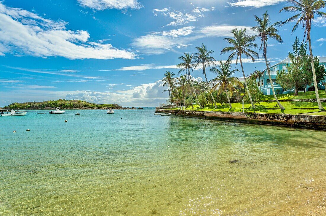 Hungry Bay, part of the Hungry Bay Nature Reserve which includes the largest mangrove coastal swamp on the island, Paget Parish, Bermuda, North Atlantic, North America