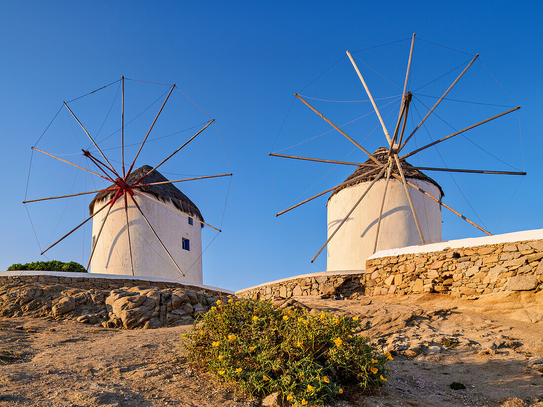 Chora Windmills at sunrise, Mykonos Town, Mykonos Island, Cyclades, Greek Islands, Greece, Europe