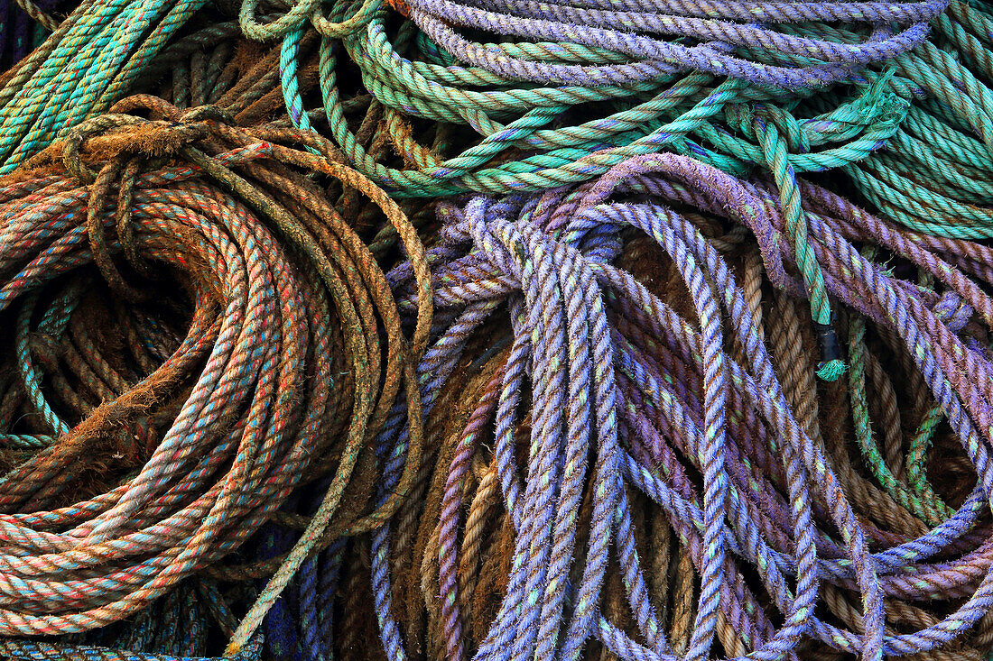 Rope detail, Craster, Northumberland, England, United Kingdom, Europe