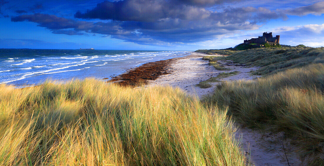 Bamburgh Castle and beach, Northumberland, England, United Kingdom, Europe