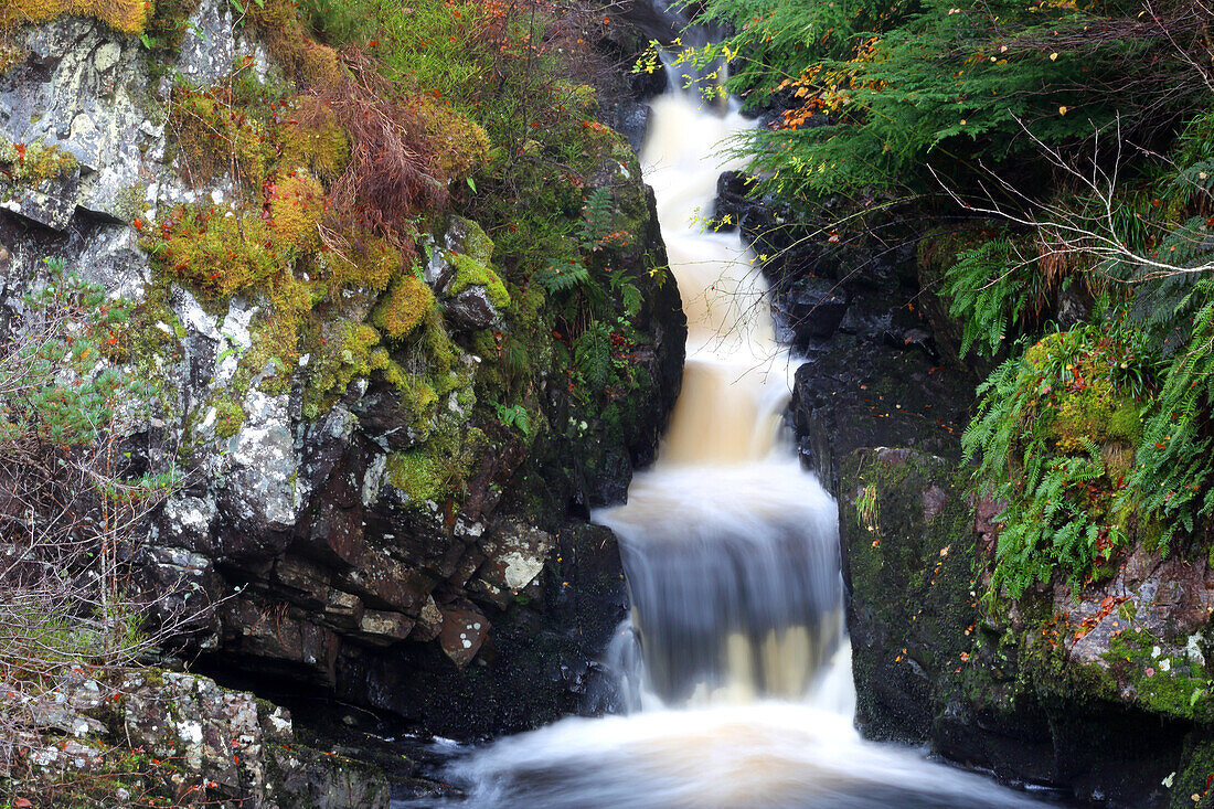 Rogie Falls, Ross-shire, Highlands, Schottland, Vereinigtes Königreich, Europa