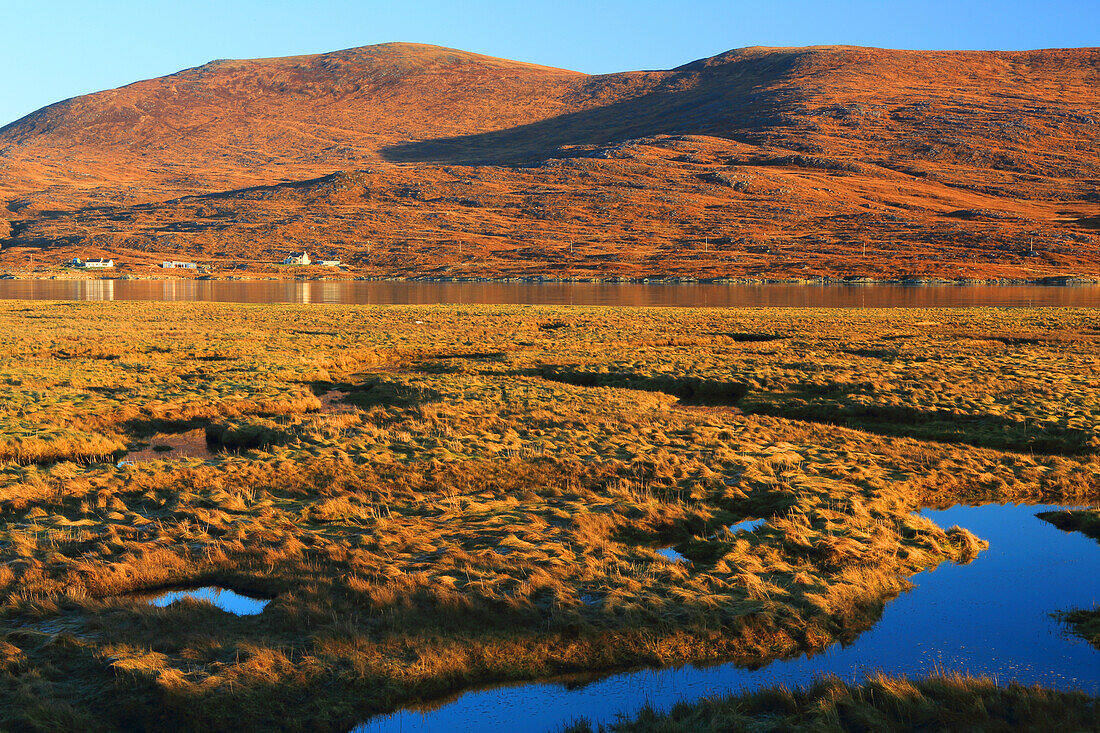 Luskentyre beach, Harris, Äußere Hebriden, Schottland, Vereinigtes Königreich, Europa