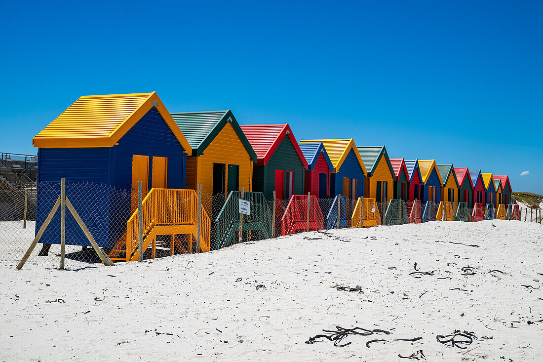 Bunte Strandhütten am Strand von Muizenberg, Kapstadt, Südafrika, Afrika