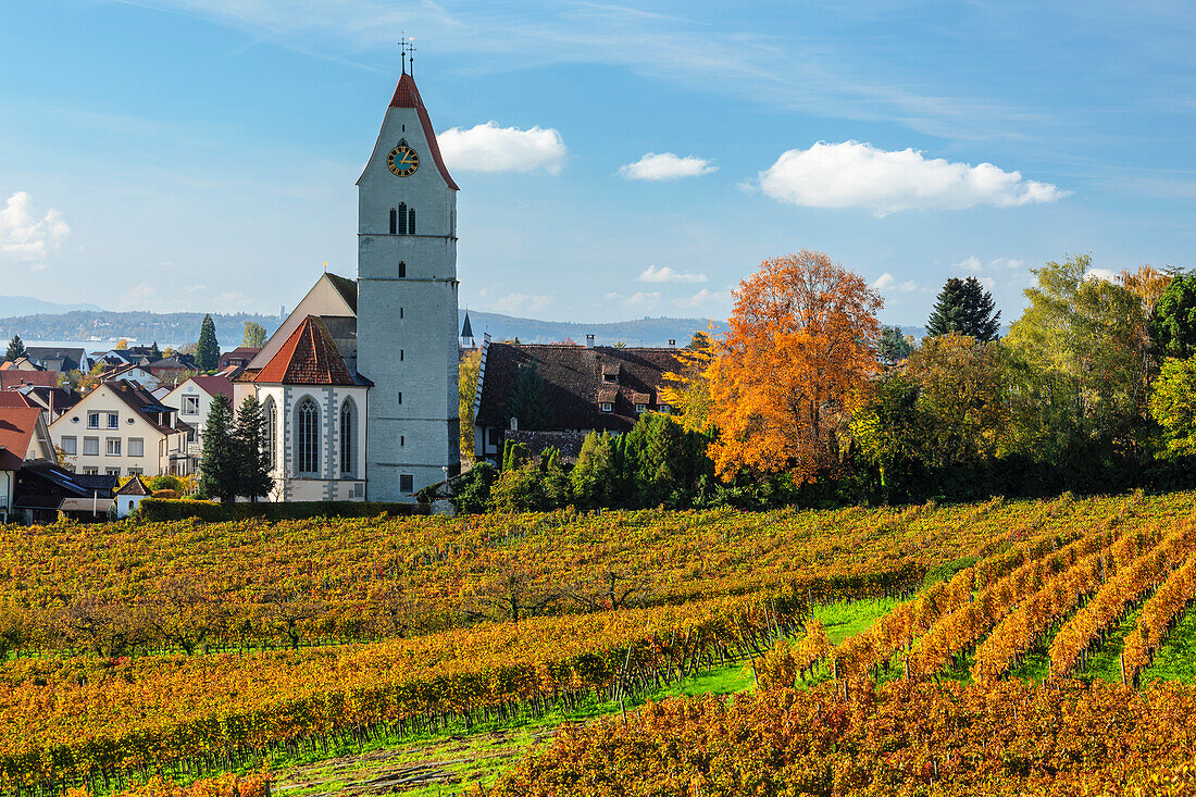 Hagnau am Bodensee, Bodensee (Bodensee), Oberschwaben, Baden-Württemberg, Deutschland, Europa