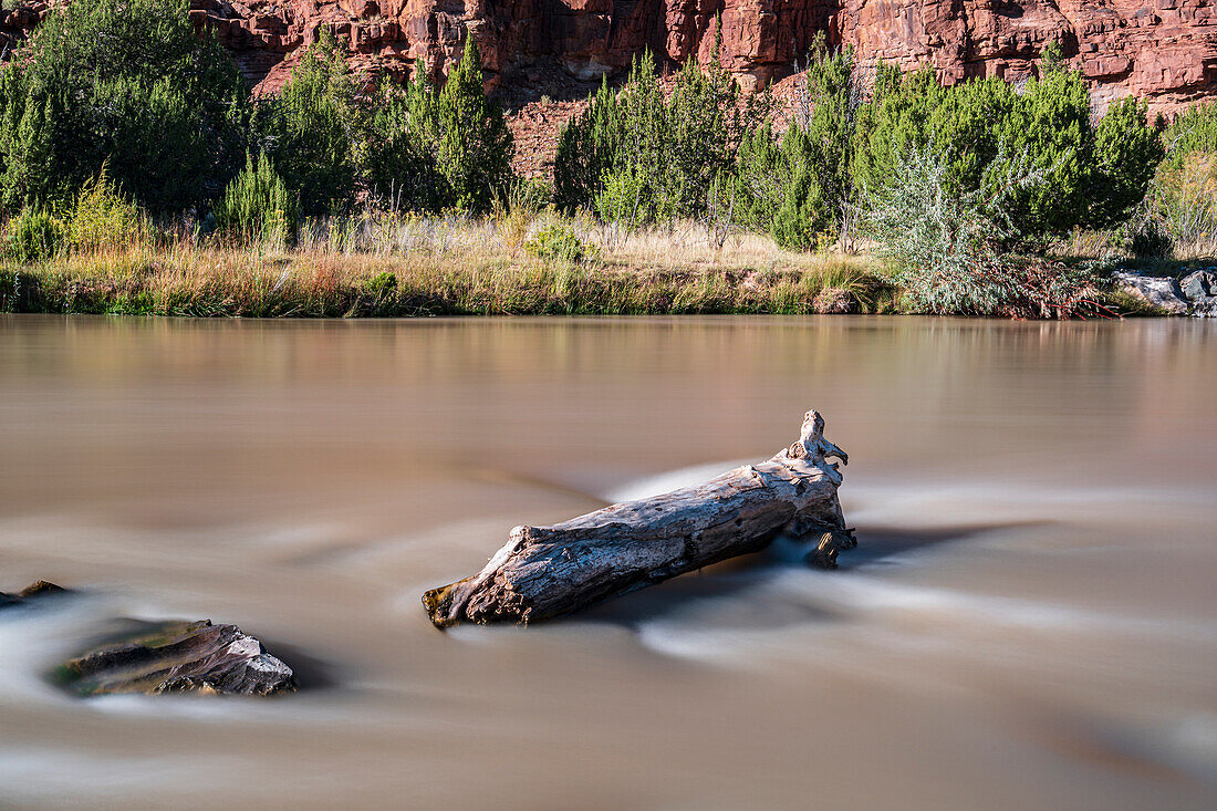 Usa, New Mexico, Abiquiu, Rio Chama, Baumstamm im Chama River, Langzeitbelichtung