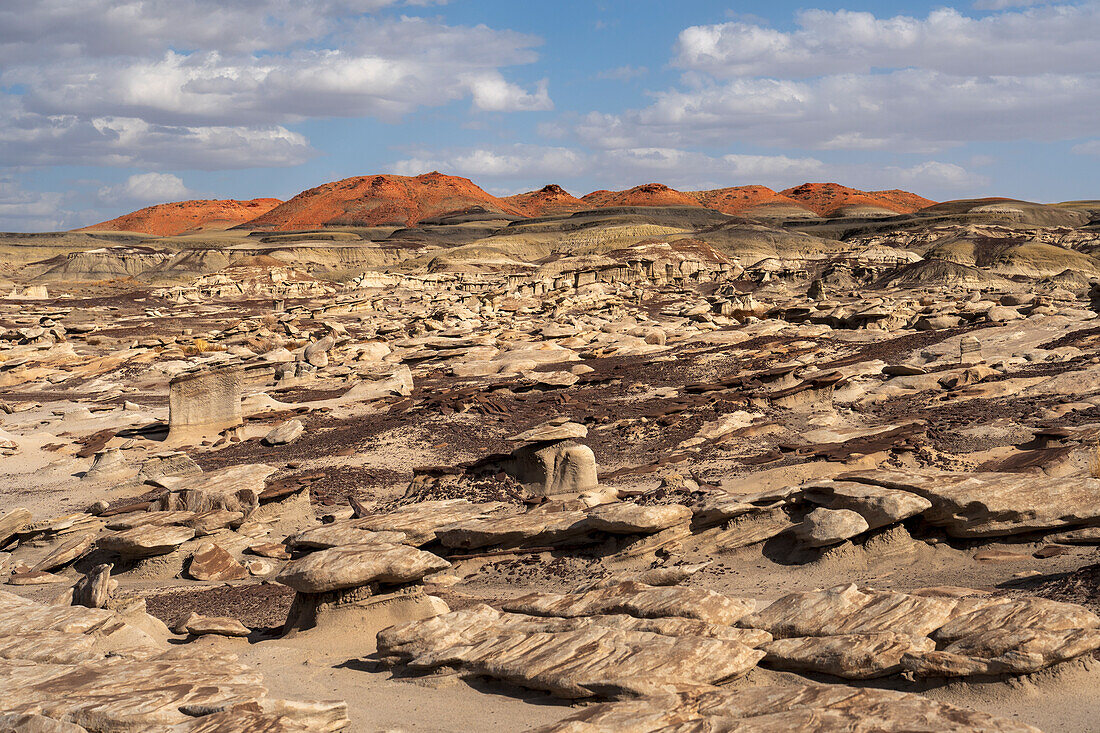 Usa, New Mexico, Bisti Wilderness, Felsformationen in der Bisti/De-Na-Zin Wilderness