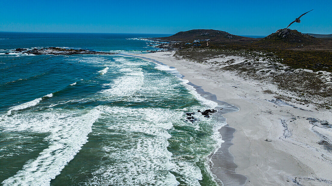 Aerial of a white sandy beach, West Coast National Park, Western Cape Province, South Africa, Africa