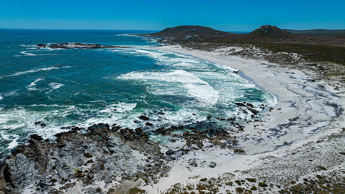 Luftaufnahme eines weißen Sandstrandes, Westküsten-Nationalpark, Westkap-Provinz, Südafrika, Afrika