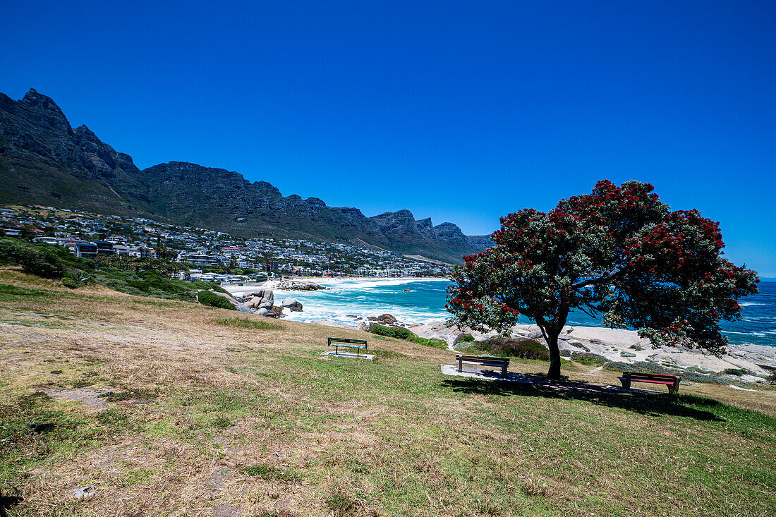 Feiner Sandstrand unterhalb der Zwölf Apostel, Camps Bay, Kapstadt, Südafrika, Afrika