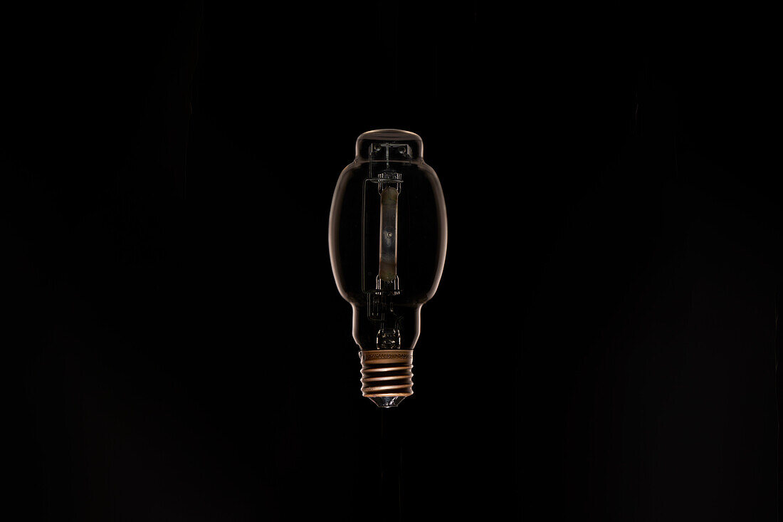 Studio shot of light bulb against black background