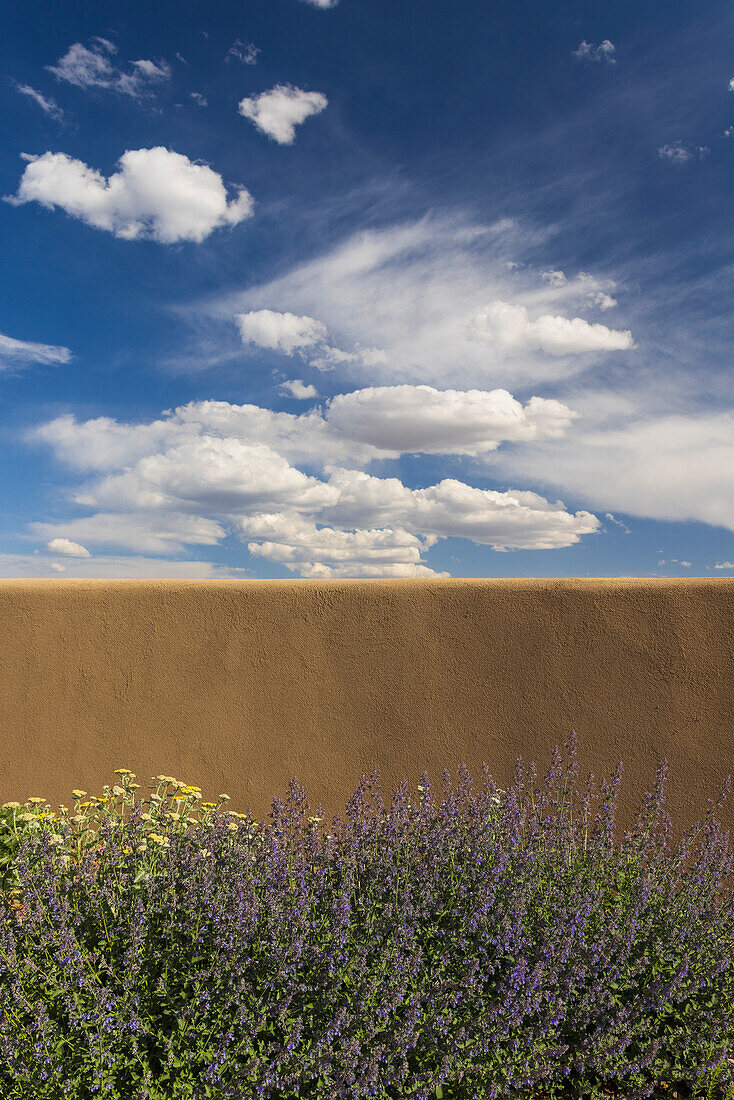 USA, New Mexico, Santa Fe, Blooming bushes in front of adobe wall