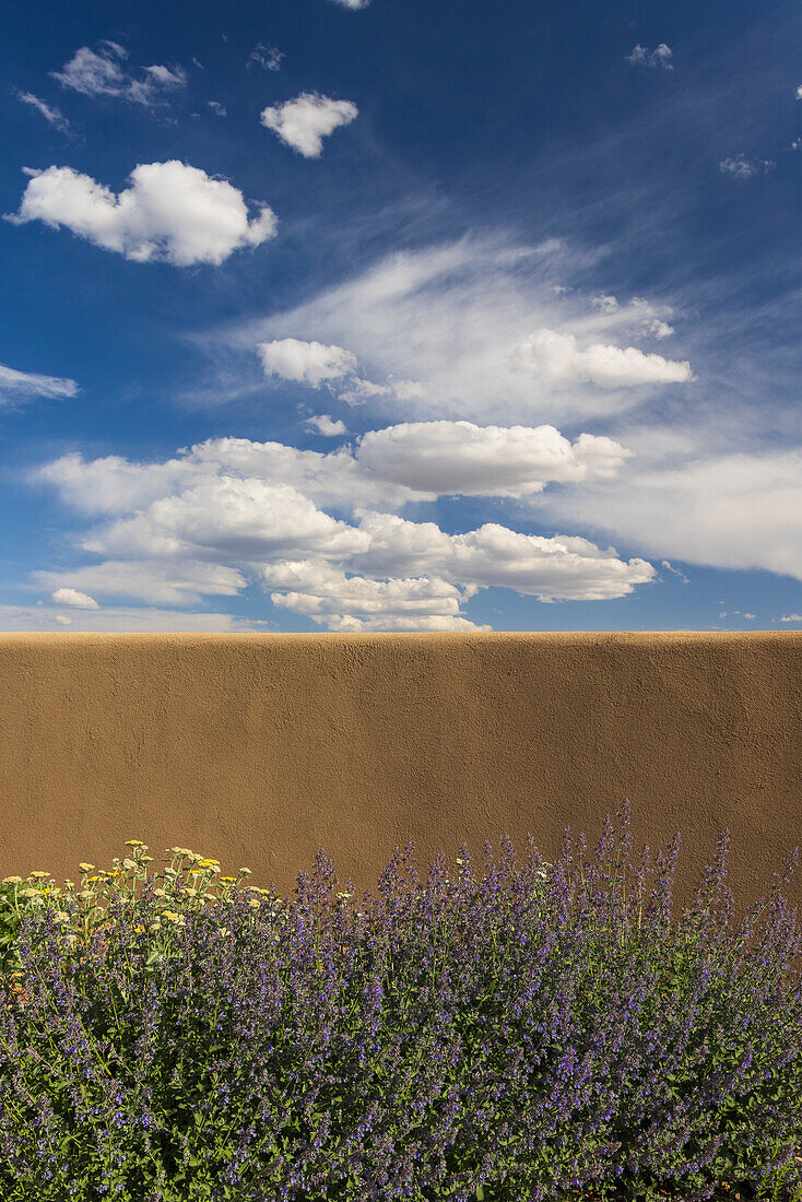 USA, New Mexico, Santa Fe, Blühende Büsche vor einer Lehmmauer