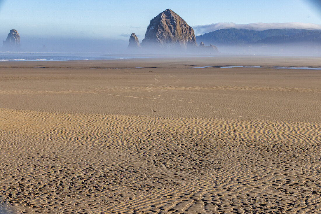 USA, Oregon, Haystack Rock at Cannon Beach in morning mist