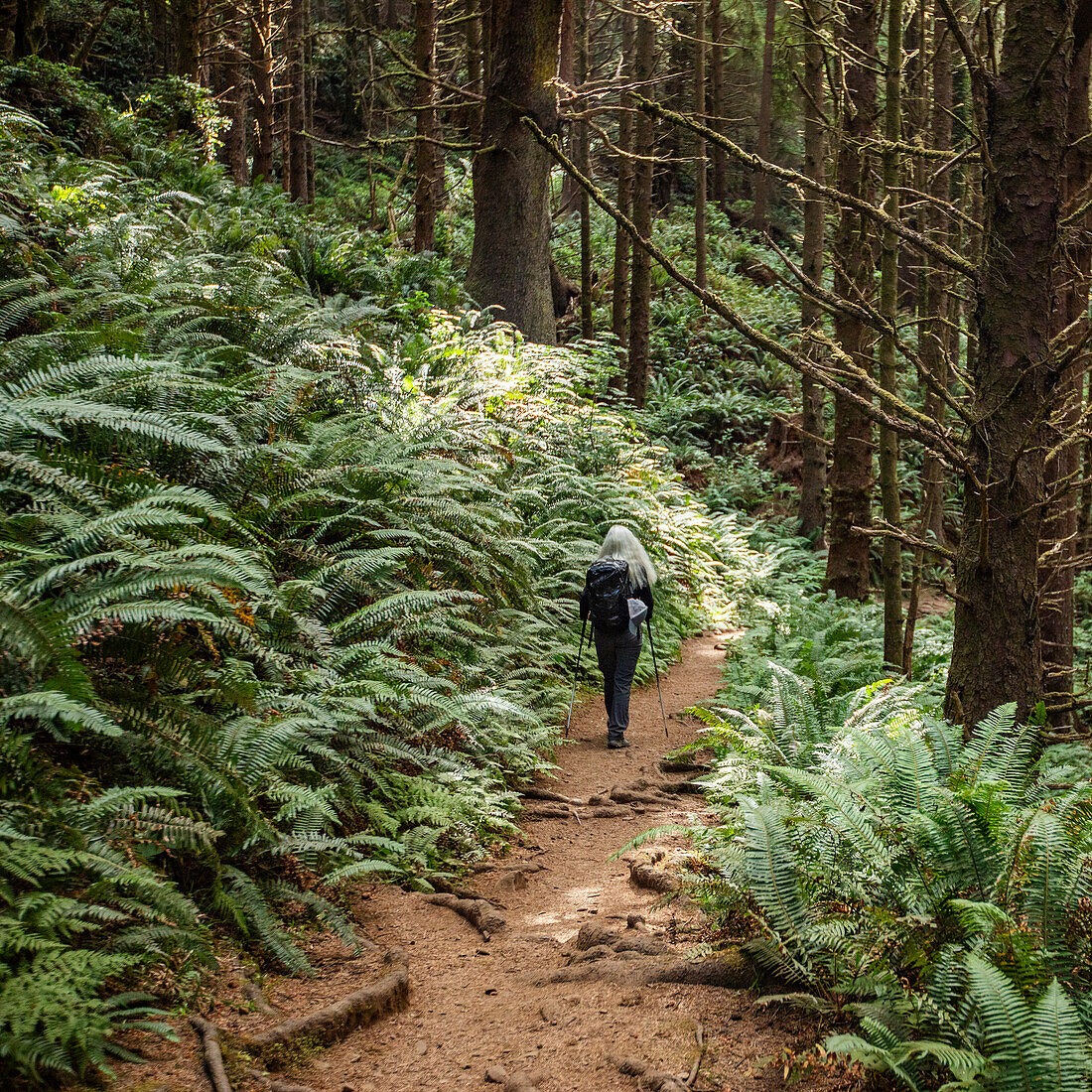 Woman walking on path in forest