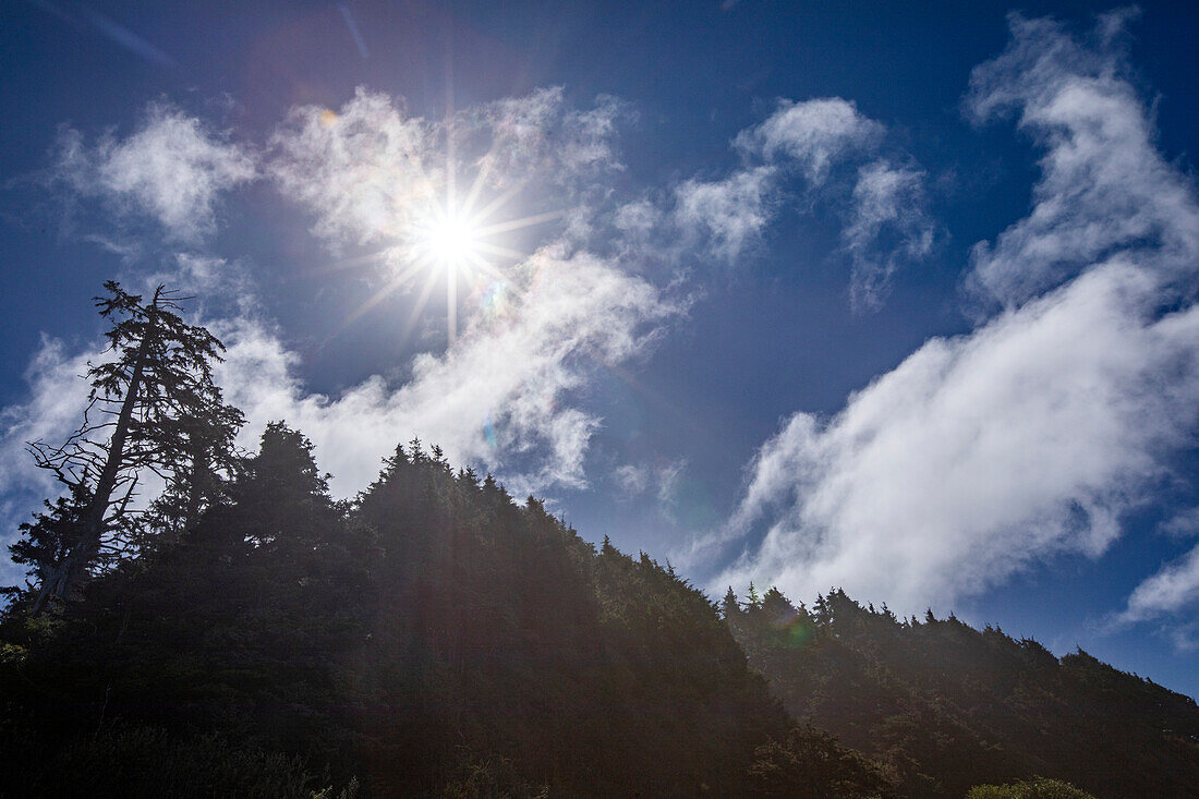 USA, Oregon, Sonne über dem Wald in den Bergen