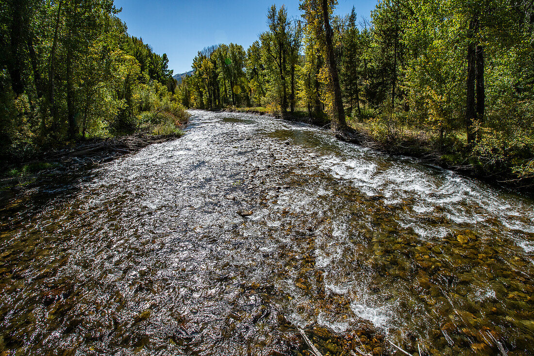 USA, Idaho, Big Wood River im Herbst bei Sun Valley