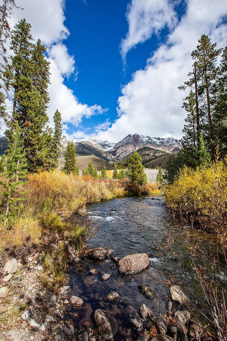 USA, Idaho, Big Wood River rauscht durch den Wald in der Nähe von Sun Valley