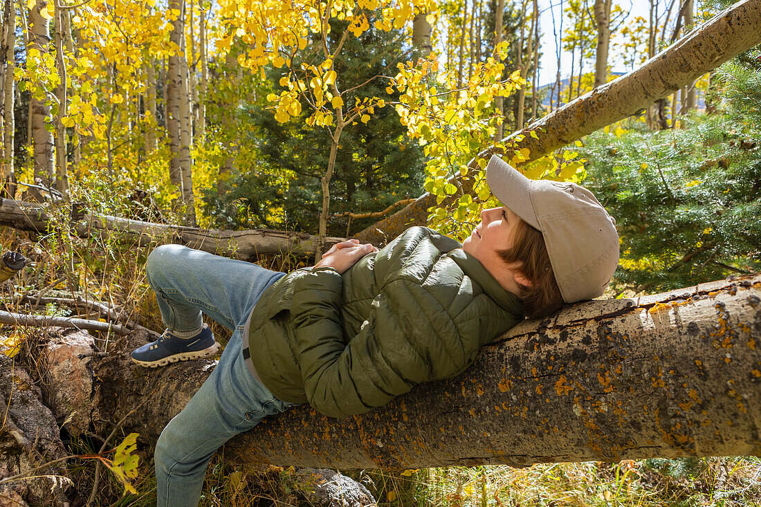 USA, New Mexico, Lächelnder Junge liegt auf einem Baumstamm im Santa Fe National Forest