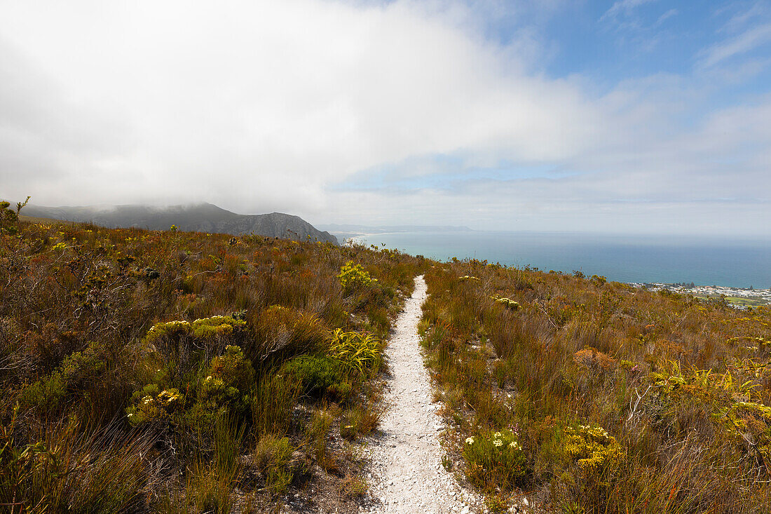 Südafrika, Hermanus, Fernkloof Nature Reserve, Landschaft und Weg