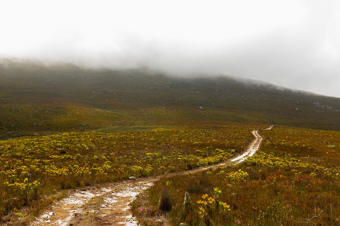 South Africa, Hermanus, Fernkloof Nature Reserve landscape and trail