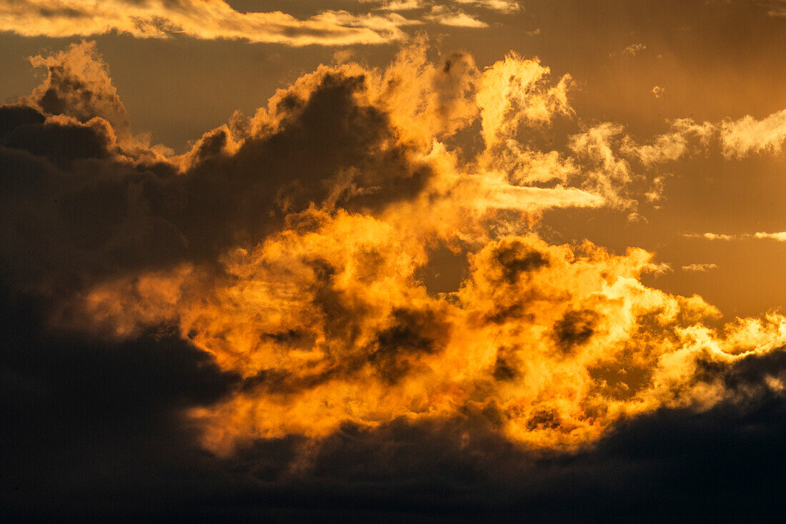 Clouds illuminated with morning sunlight