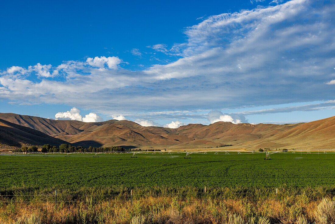 USA, Idaho, Bellevue, Ländliche Felder und Hügel im Sommer