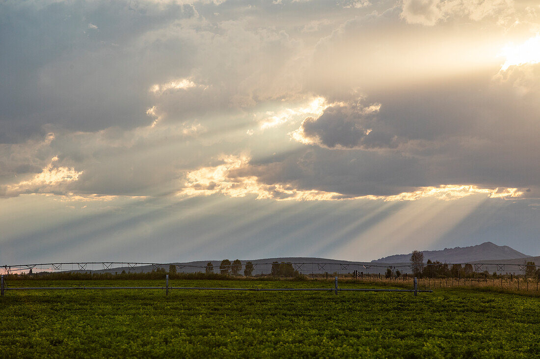 Die Strahlen der untergehenden Sonne scheinen auf Felder und Hügel