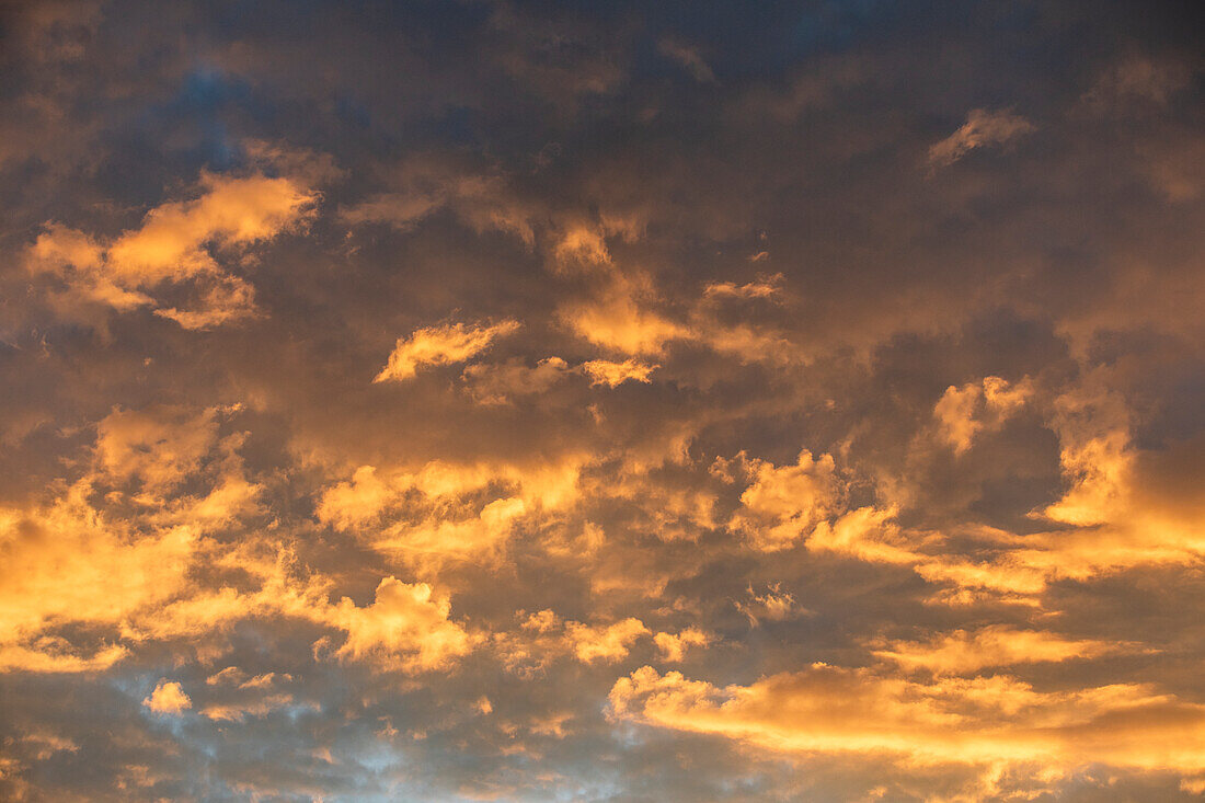 Von der untergehenden Sonne beleuchtete Wolken