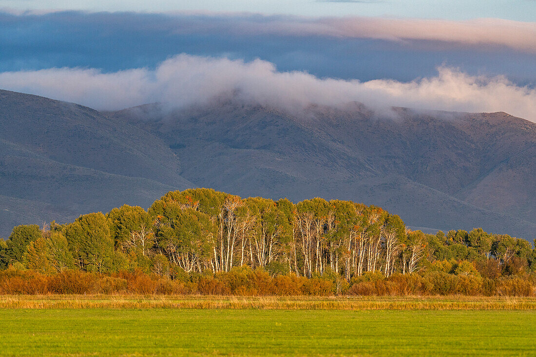 USA, Idaho, Bellevue, Bäume in ländlicher Landschaft mit Bergen im Hintergrund